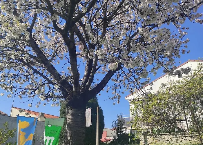 Maison Calme A Un 15min A Pied De La * Royan