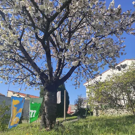 Maison Calme A Un 15min A Pied De La * Royan